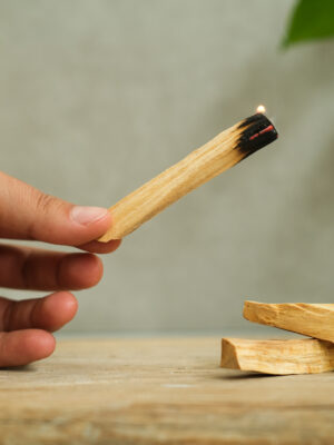 Palo Santo