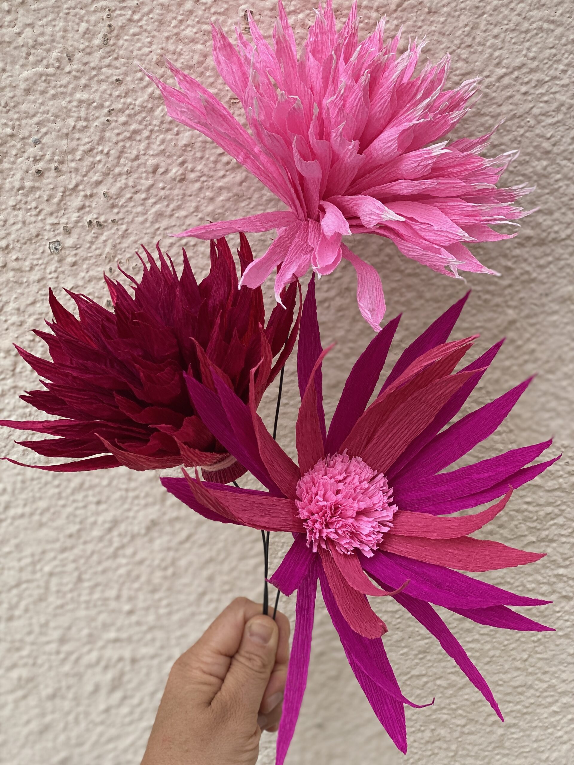 FIORI DI CARTA - immagine 4