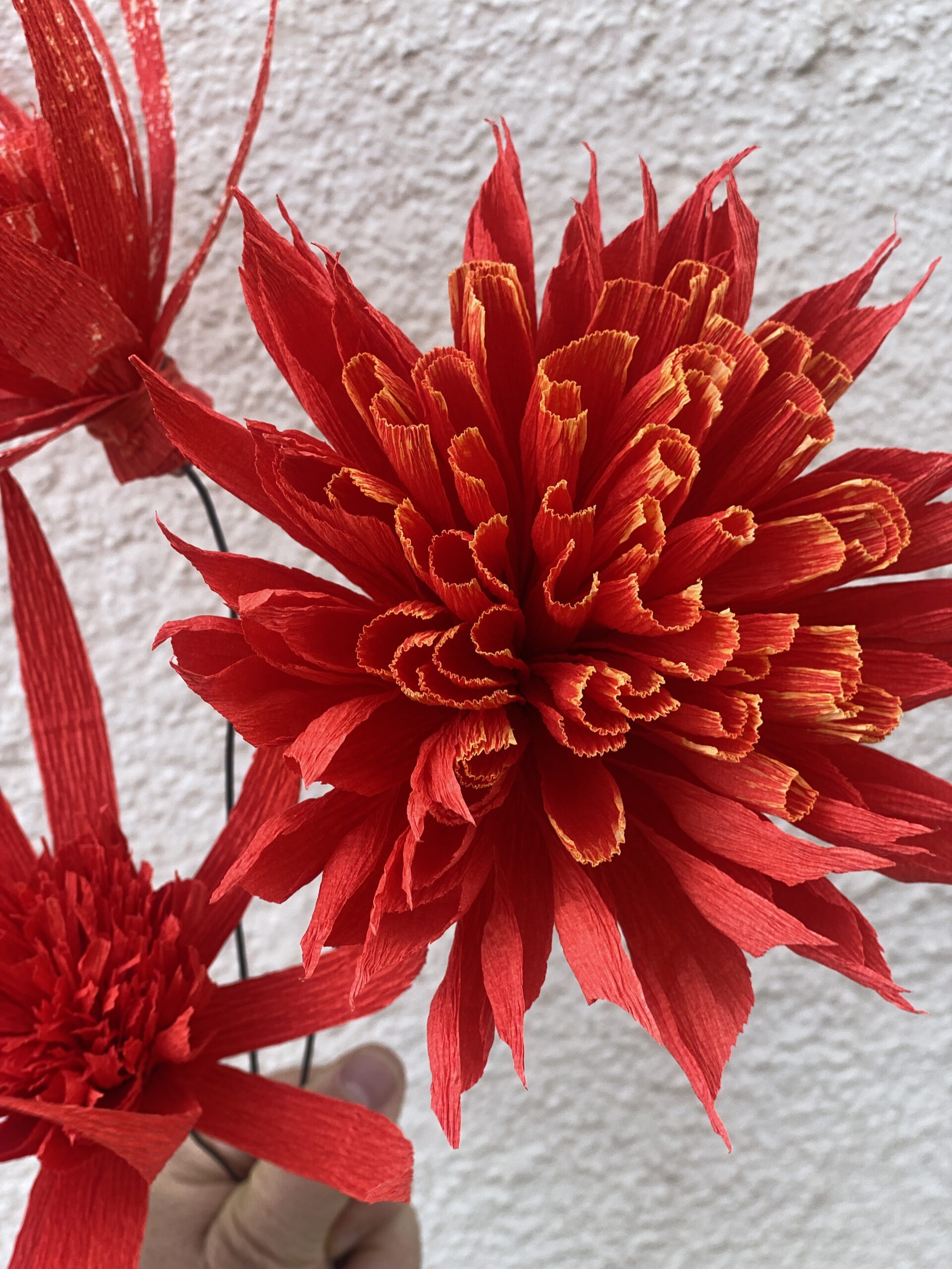 FIORI DI CARTA