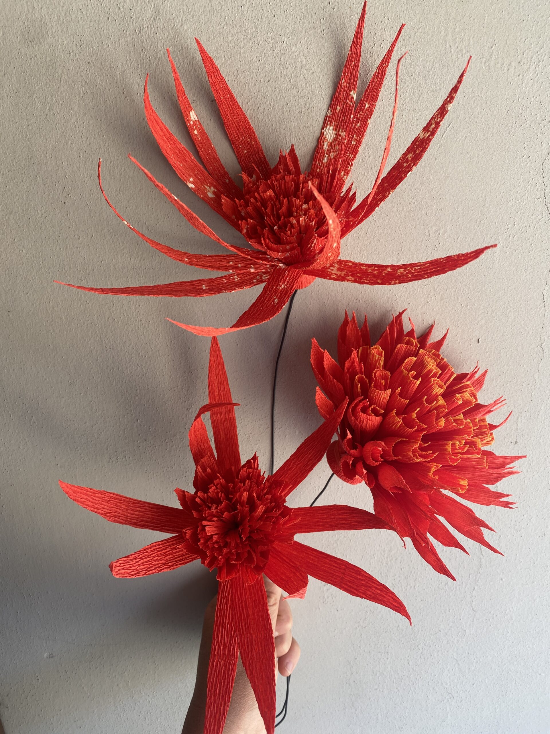 FIORI DI CARTA - immagine 5