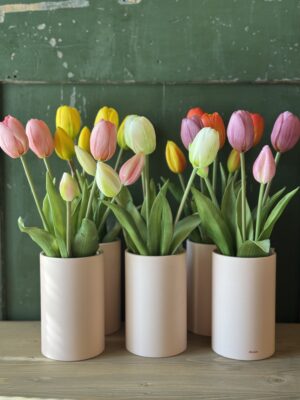 Tulip Even After