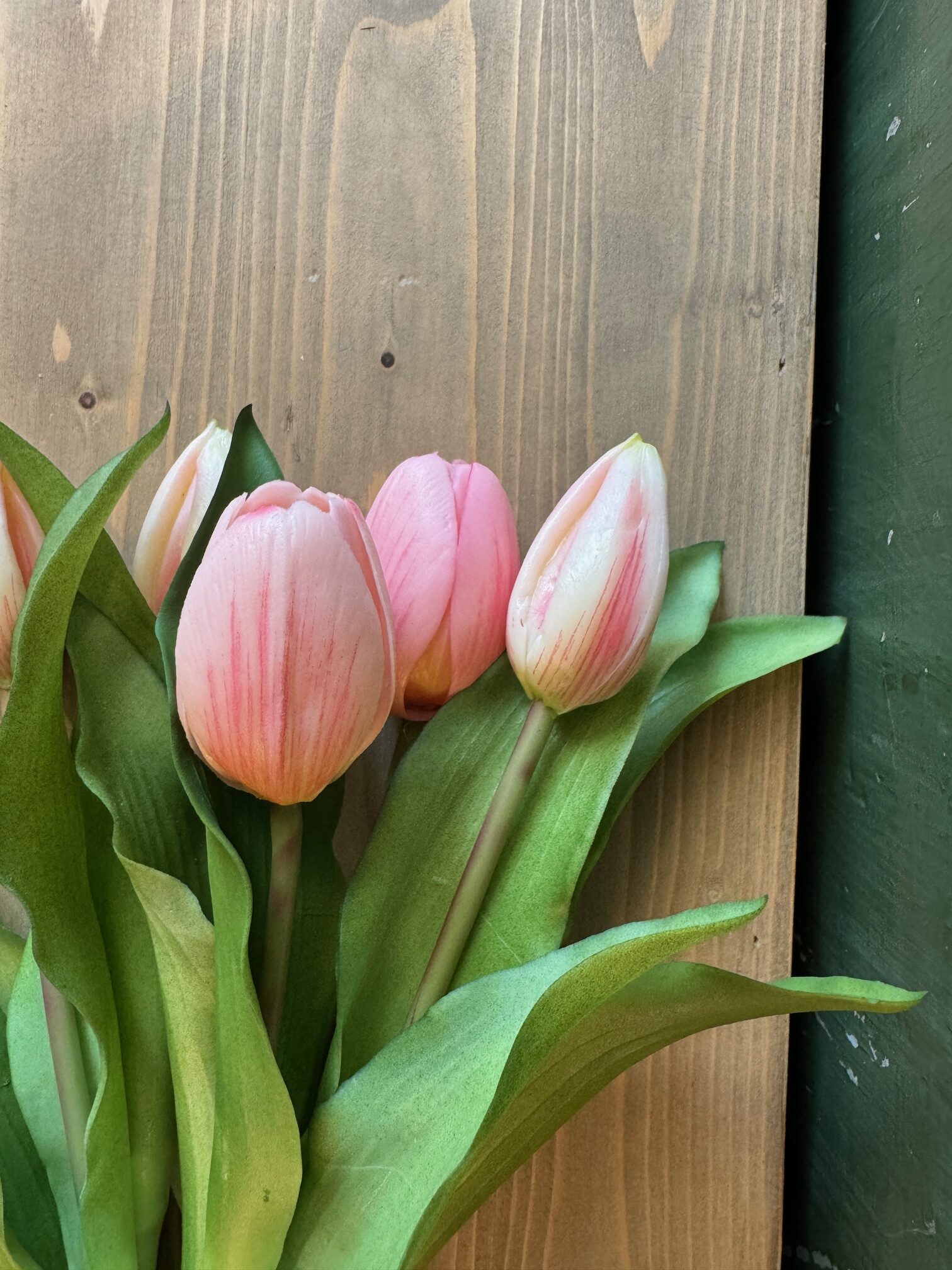 Tulip Forever 7 steli - immagine 3