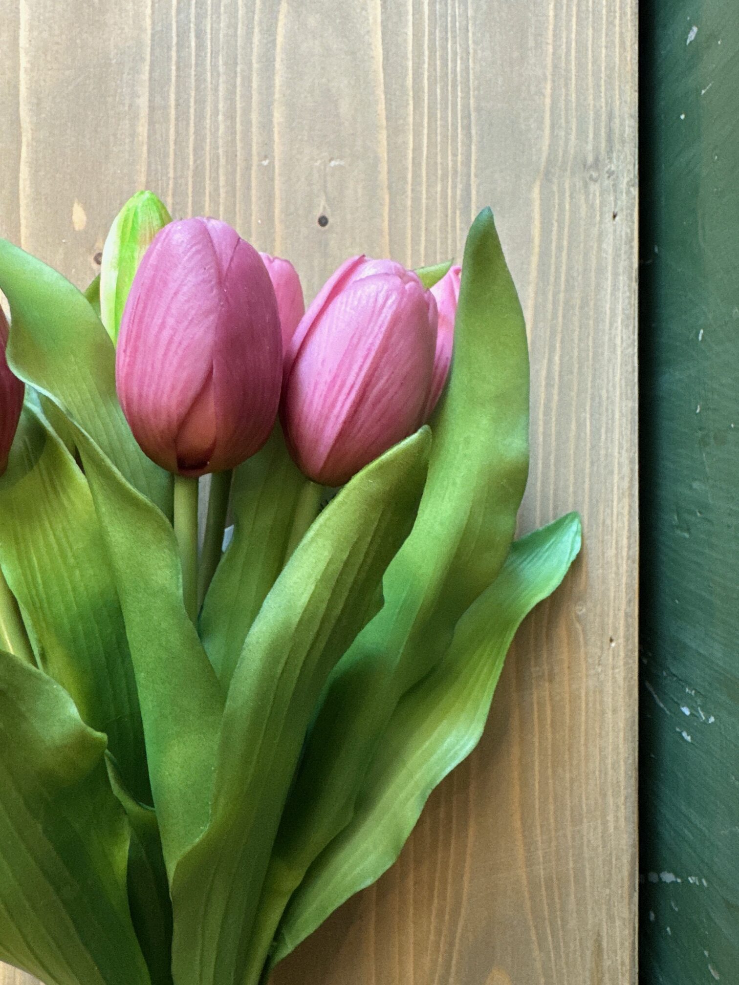 Tulip Forever 7 steli - immagine 5