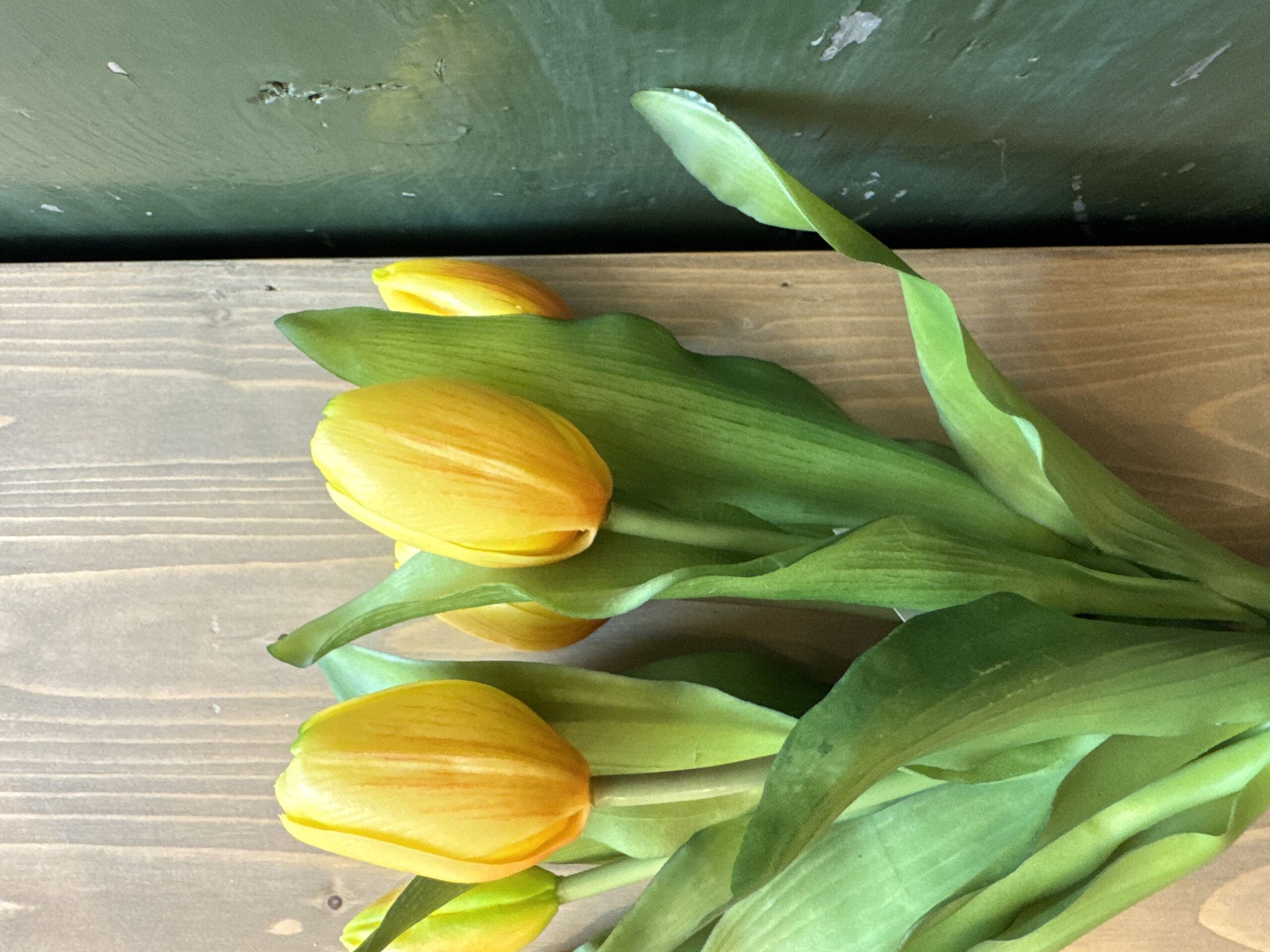 Tulip Forever 7 steli - immagine 8