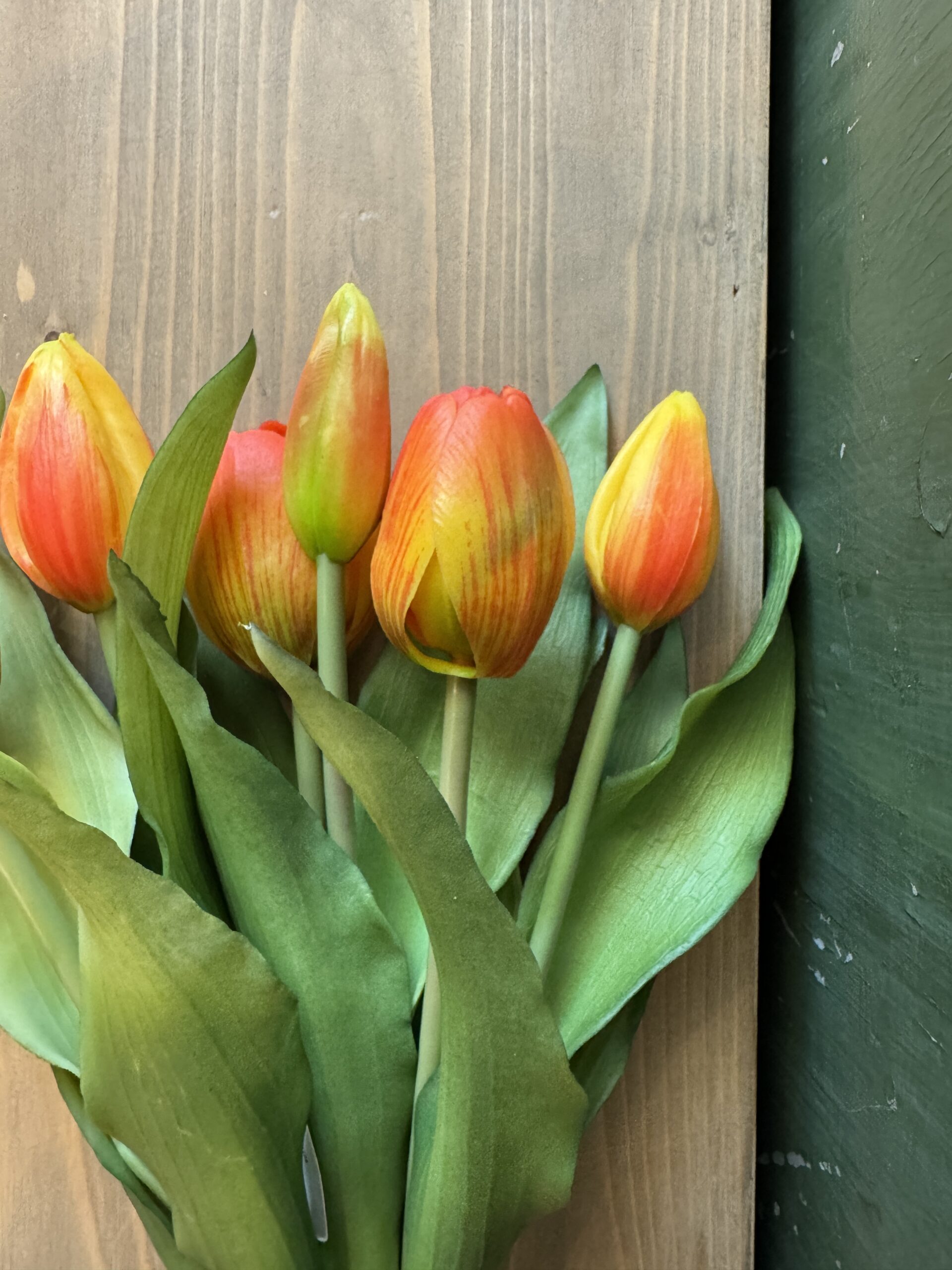 Tulip Forever 7 steli - immagine 12