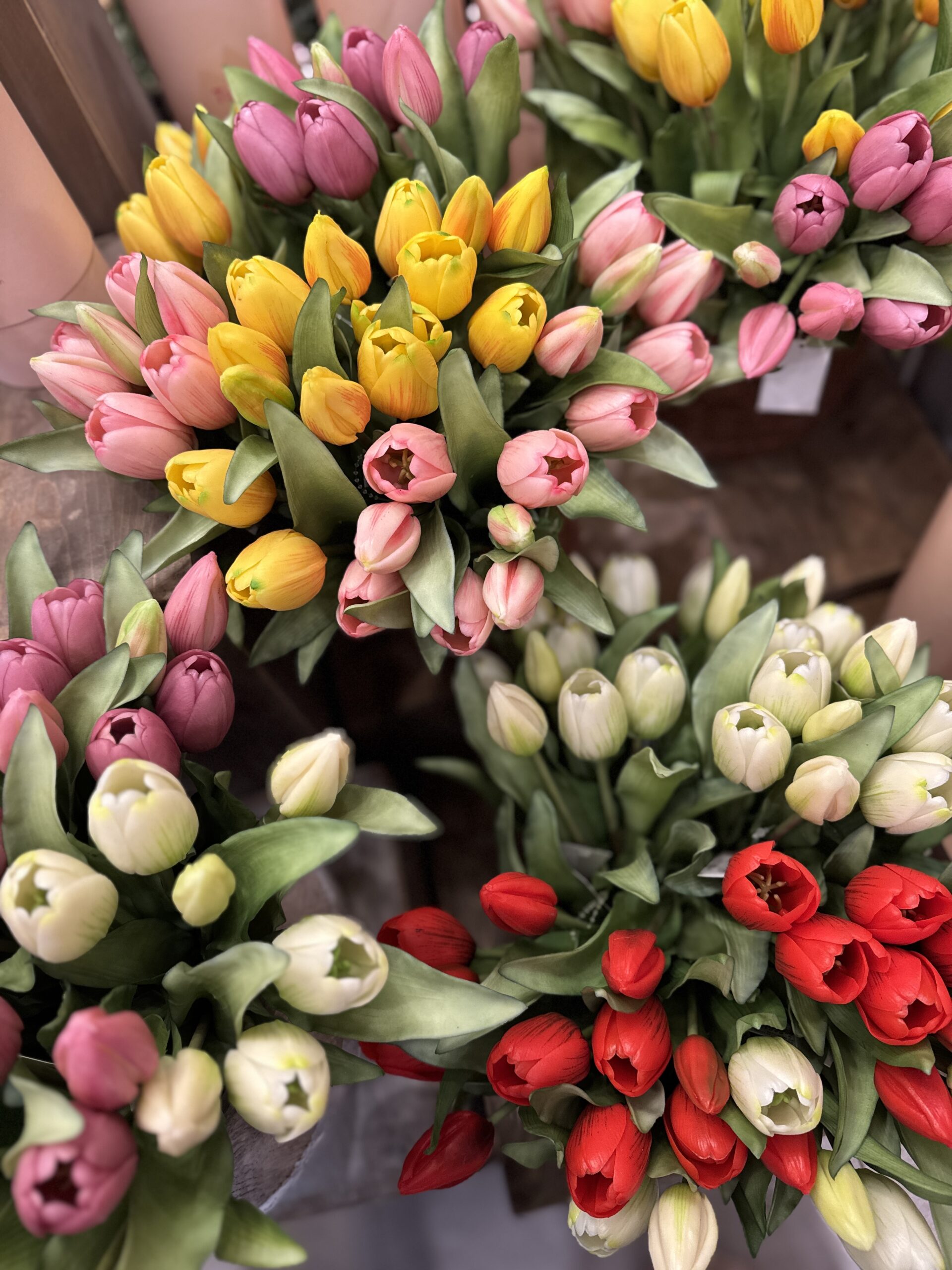 Tulip Forever 7 steli