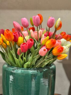 Tulip Forever 5 steli